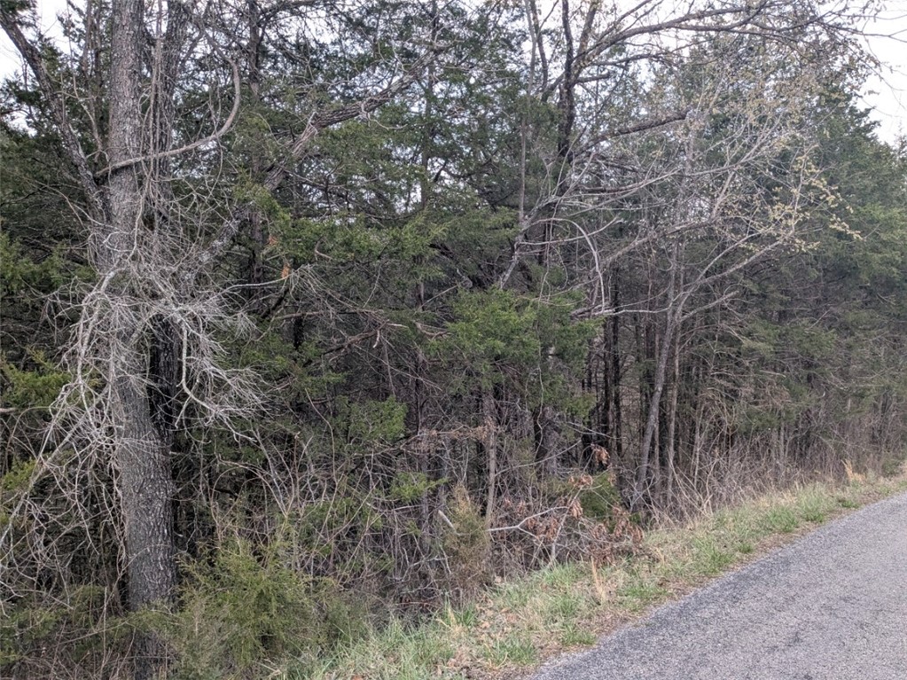 Unit 7 Holiday Island - Land