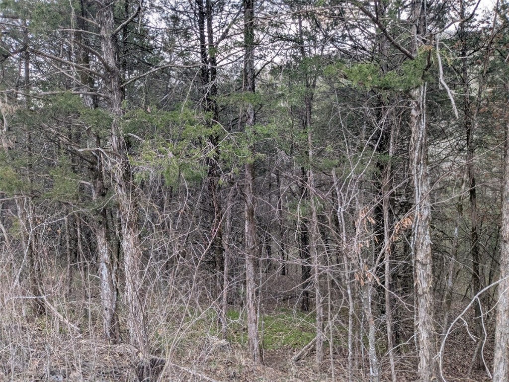 Unit 7 Holiday Island - Land