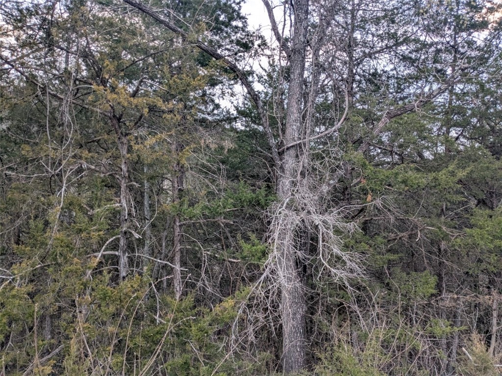 Unit 7 Holiday Island - Land