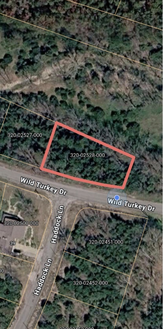 Unit 7 Holiday Island - Land