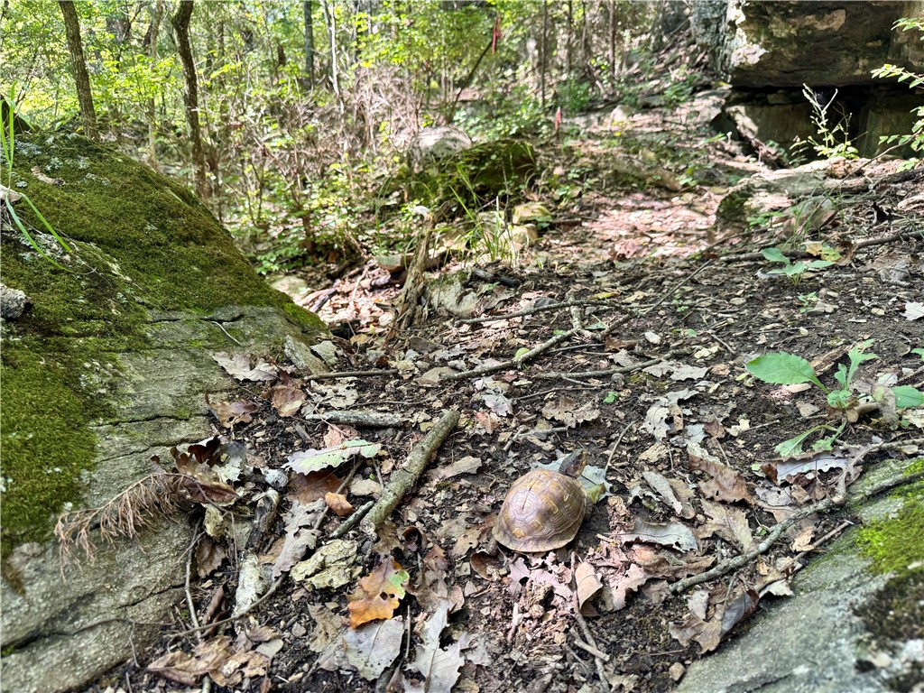 Miller Add - Land