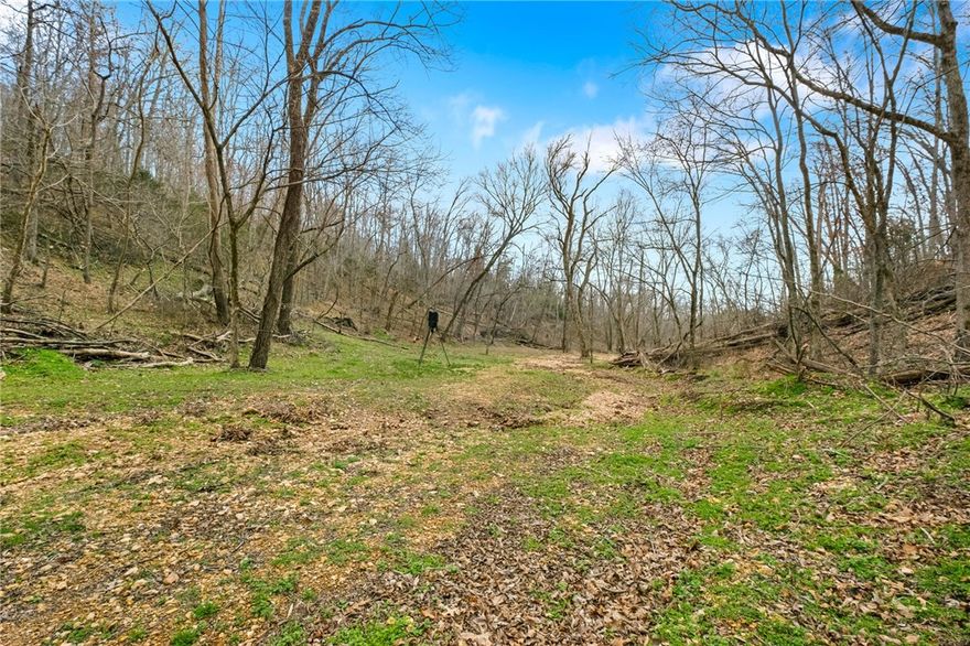 $5,000 seller credit if closed by April 10! 16.98 unrestricted acres (Tract 1) within walking distance to Beaver Lake and 15 minutes to DTR! This gorgeous parcel comes with a well, electric, and septic drainpipe. RV pad on site with hookups ready to go including 50amp electric. Parcel has beautiful, flat lower section offering privacy and seclusion. Build your dream home, have a clubhouse and ride ATVs, or create your own little hobby farm- the options are limitless! Parcels have been surveyed and corners are flagged.