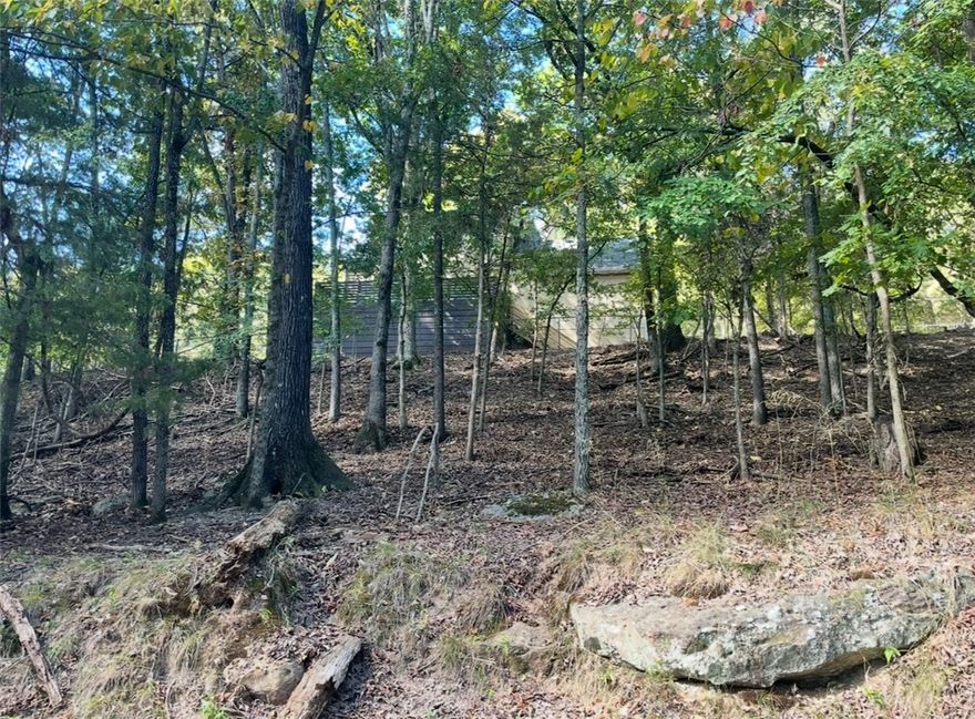 Prime Lot Near Beaver Lake – Build Your Dream Home!  Discover a fantastic opportunity to create your ideal home in the highly sought-after Lost Bridge Village community, just steps from the sparkling shores of Beaver Lake. This spacious lot offers potential lake views and is surrounded by natural beauty. Enjoy an array of community amenities, including access to a private airstrip, boat ramp, and marina for lake adventures, as well as a clubhouse, neighborhood parks, and a recreation center. Take advantage of the outdoor pool, tennis courts, and more, all designed for an active and vibrant lifestyle. Don’t miss this rare chance to build in a peaceful lakeside neighborhood with so much to offer!