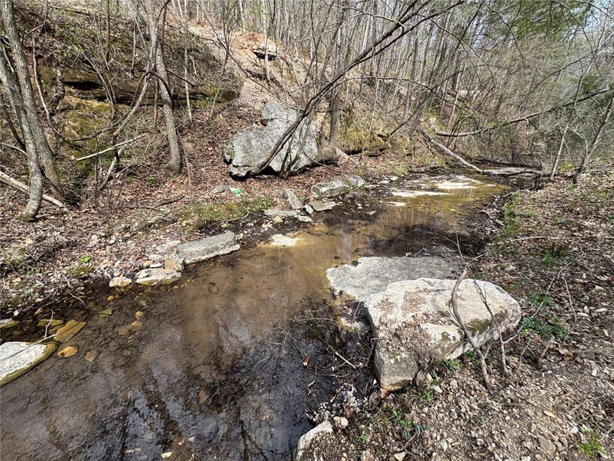 38+ acres of private Ozark land at the end of the road, offering exceptional seclusion just minutes from Jasper and the Buffalo National River. This property features a balanced mix of mature hardwoods, a seasonal creek, and a year-round spring, providing both natural beauty and access to power and rural water. The terrain offers multiple potential building sites with peaceful wooded views and abundant wildlife throughout.

Whether you're looking for a recreational retreat, hunting property, or a private homesite close to town, this tract combines convenience with true end-of-the-road privacy in one of Newton County’s most desirable areas.