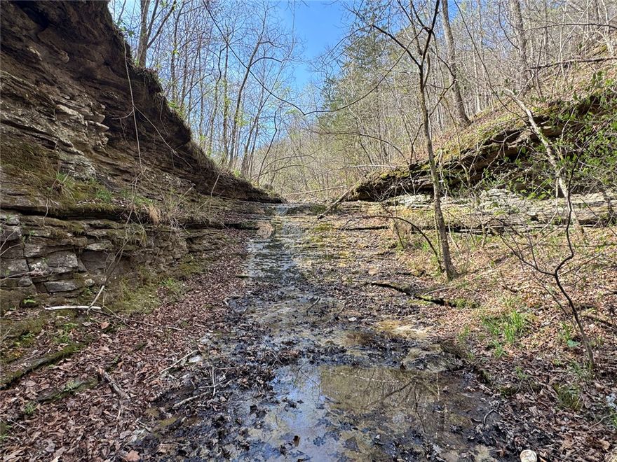 38+ acres of private Ozark land at the end of the road, offering exceptional seclusion just minutes from Jasper and the Buffalo National River. This property features a balanced mix of mature hardwoods, a seasonal creek, and a year-round spring, providing both natural beauty and access to power and rural water. The terrain offers multiple potential building sites with peaceful wooded views and abundant wildlife throughout.

Whether you're looking for a recreational retreat, hunting property, or a private homesite close to town, this tract combines convenience with true end-of-the-road privacy in one of Newton County’s most desirable areas.