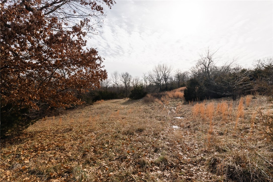 Kessler Road Dev Llc T - Land
