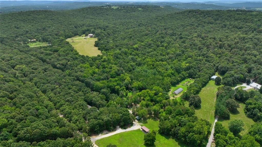 Are you looking for a place to hunt, build... or both? This beautiful piece of property is located in N. East Fayetteville and has ample opportunity to build your dream home! Fantastic location for those seeking privacy, quick access to the White River and just a few minutes drive back to shopping, restaurants, and all that Fayetteville has to offer. All of the beauty and fun of the country, plus Fayetteville schools. Land is mostly flat with a gentle slope. Electric on site, water at the road.