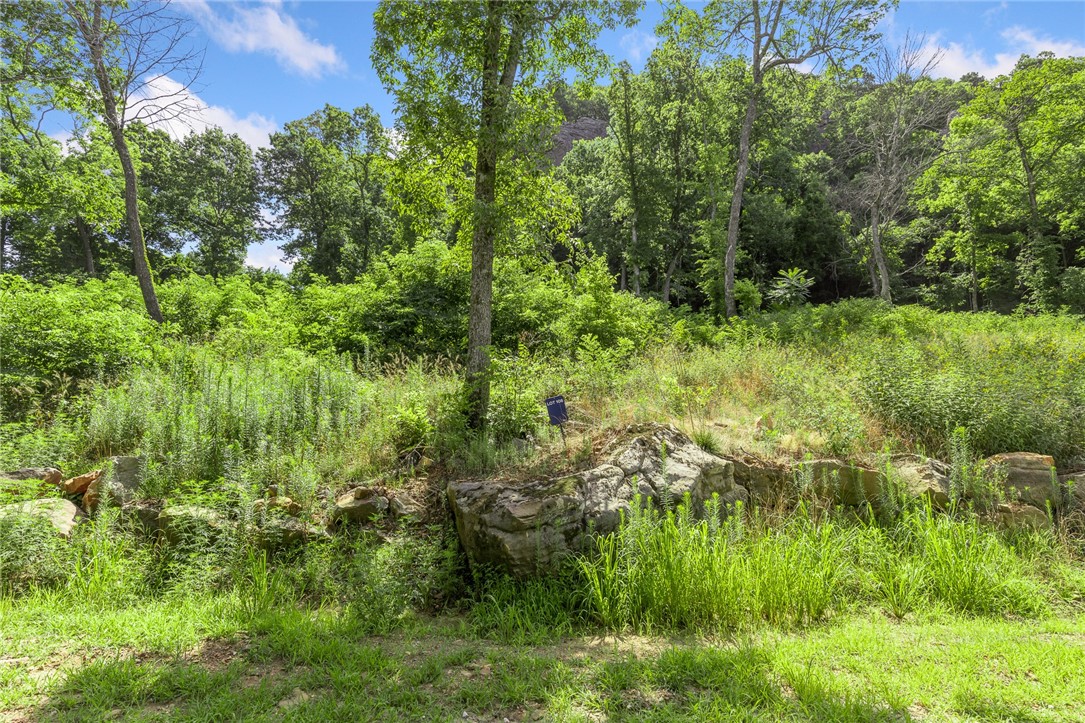 Round Mountain Estates - Land