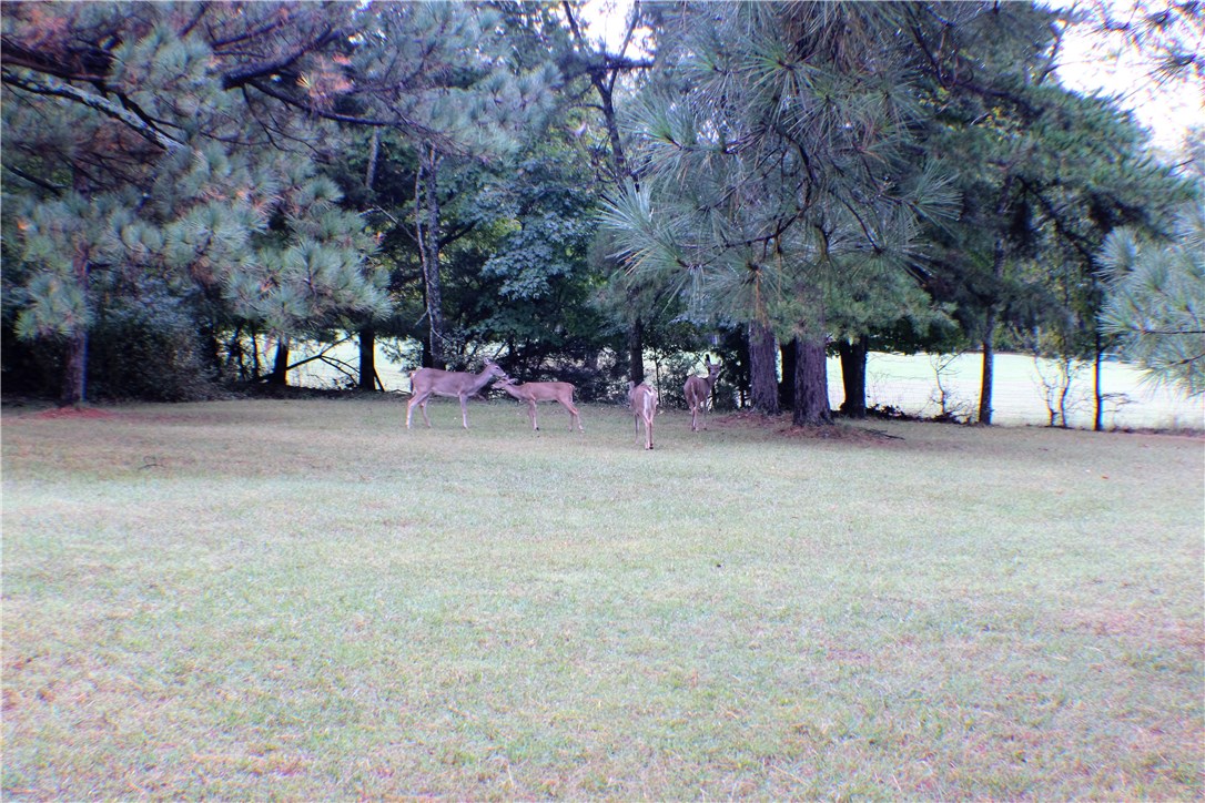 Fayetteville Outlots - Residential