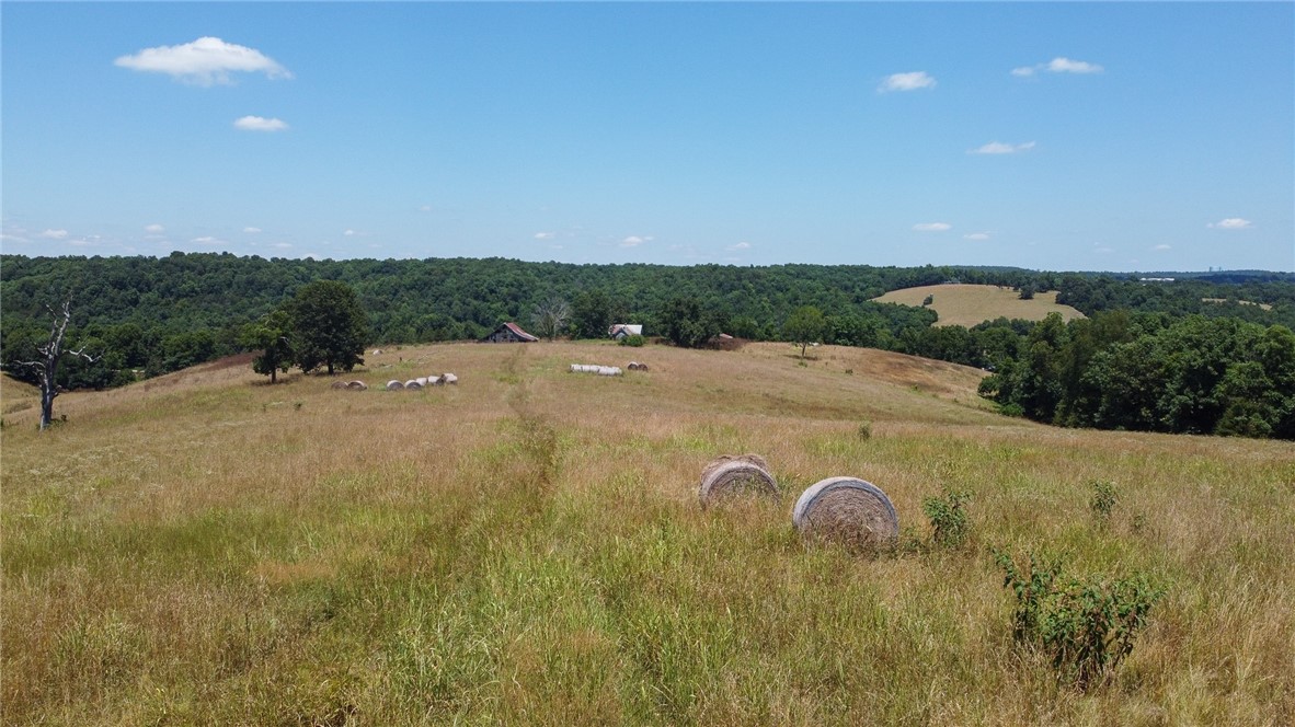 81 country acres conveniently located 20 ins from Huntsville and Rogers. Would be great for a hobby farm, wedding venue, or poultry operation. Beautiful views.