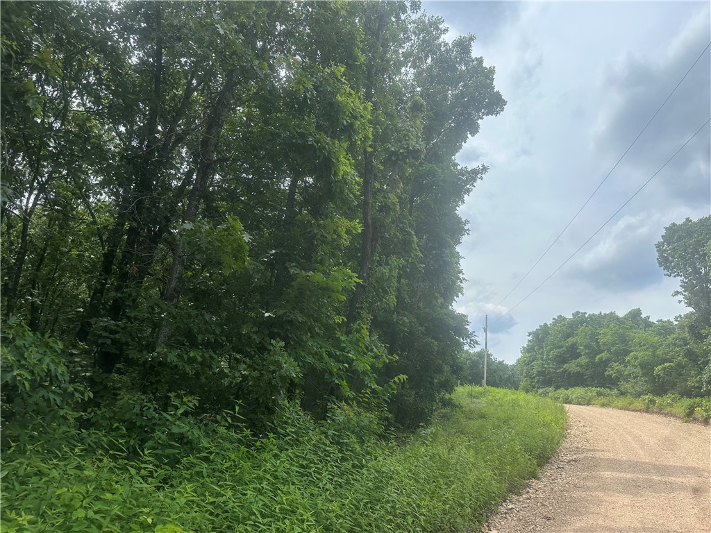 For Sale: 13.81 Acres M/L in Moark Sub-Division
This spacious, all-wooded property offers county road frontage and a small clearing, providing an ideal building site. Partially fenced and secluded, it's perfect for those seeking privacy and outdoor enjoyment. Features include wildlife habitat, walking trails, and the potential for development. Priced to sellādon't miss out on this opportunity! Electricity at road with easement