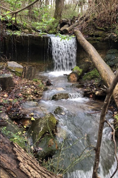 Oakbrook Subdivision Ph II -Bentonville - Residential