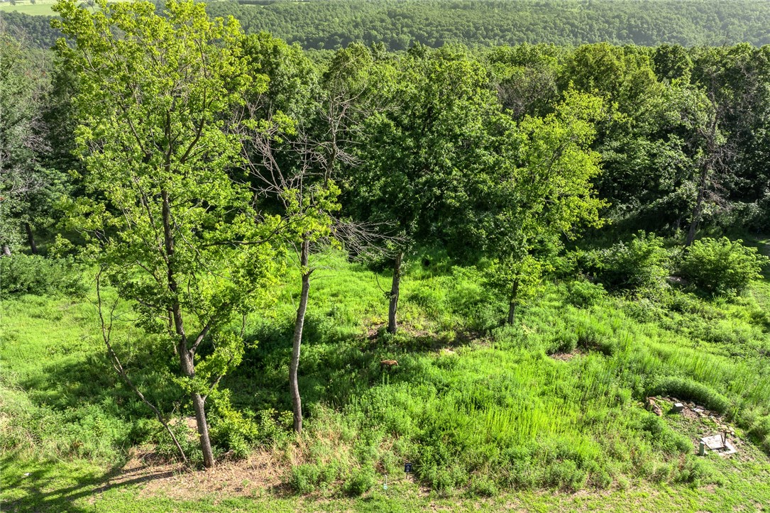 Round Mountain Estates - Land