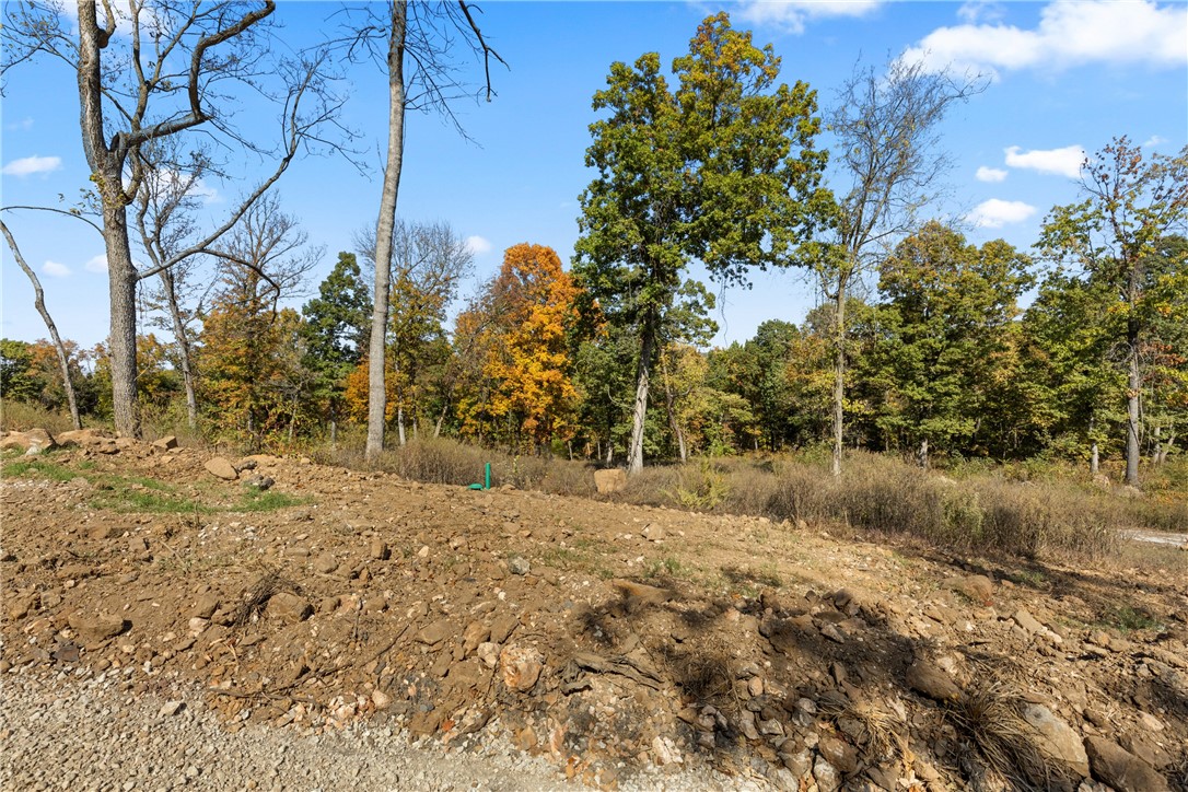 Lot 93 (1.3 m/l ac) of Round Mountain Estates provides the seclusion the seclusion you have been wanting. As one of the largest lots the development has to offer, this lot has plenty of room to build. A walkout basement is definitely an option on this hidden away lot. RME is a new, master planned, exclusive subdivision located 10 minutes west of Harrison, AR. The following utilities are already on site making the building process much easier for you; natural gas, fiber optic internet, electric, public water, and sewer. Interested in your family seeing the star lights instead of those city lights? RME is what you've been searching for! RME features a 350 +/- acre common area for its residents that includes a stocked fishing pond, Kissing Rock trail, natural springs to explore, Baby Canyon trail, incredible bluff lines to climb, and views for hundreds of miles that will not only take your breath away but will forever be etched in your memory! Neighborhood amenities coming soon.