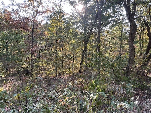 Nice down sloping lot with lots of trees. Would make a great place to build a home with a basement garage or walk out basement. Deep lot goes down into valley. Several fairly level spots to build. Close to amenities like marina, fishing dock, swimming pool, recreation center, park, pickleball or tennis courts, 2 golf courses and the country club. Don't miss this opportunity. Priced to sell. Call today for your tour.