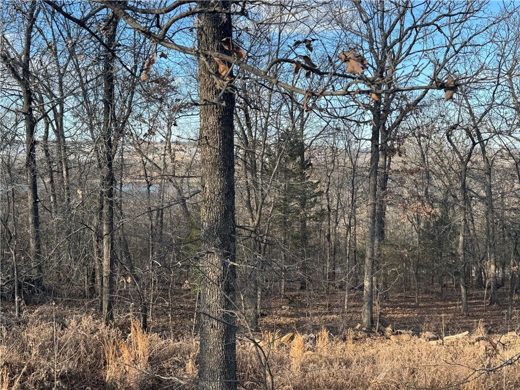 View of local wilderness