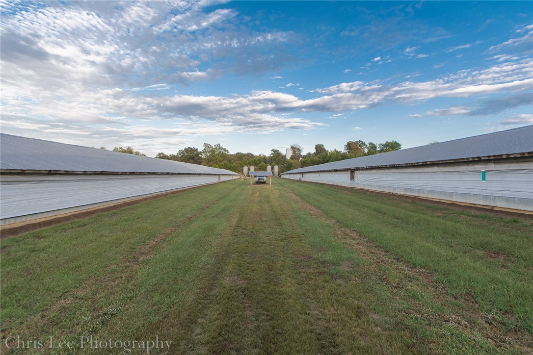 9.33 acres a short distance off Hwy 412 on paved road. Excellent views & building site. Two 40x400 poultry houses in good condition w/new curtains. Growing equipment still intact & in good shape. No contract in place. Seller's were approached by local company to grow turkey's, however seller declined. Possible update for broiler operation. Possible poultry farm opportunity w/greatly reduced start up cost! 50x54 barn. 2 ponds. Natural gas, high speed internet, rural water & electric on site! Nice setting.