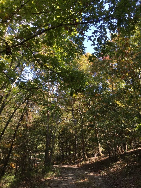 Photo 3 of 17 of 5731 Estate View Road land