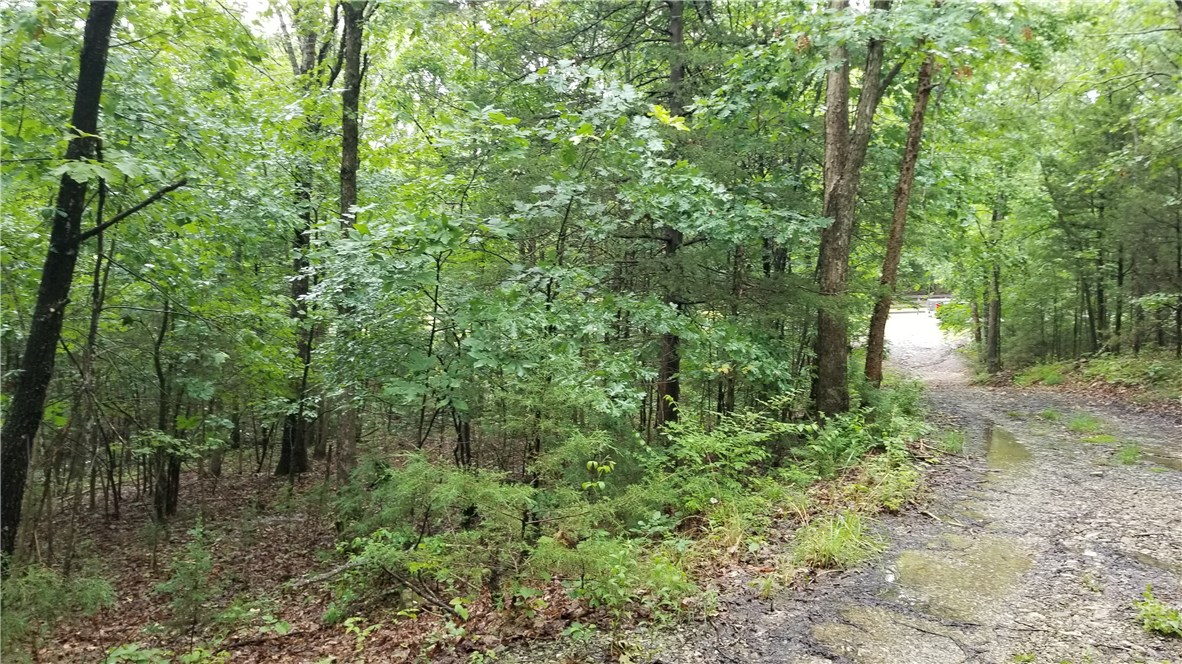 Photo 4 of 17 of 5731 Estate View Road land
