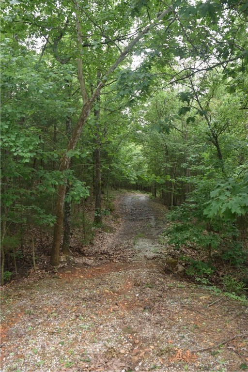 Photo 11 of 17 of 5731 Estate View Road land