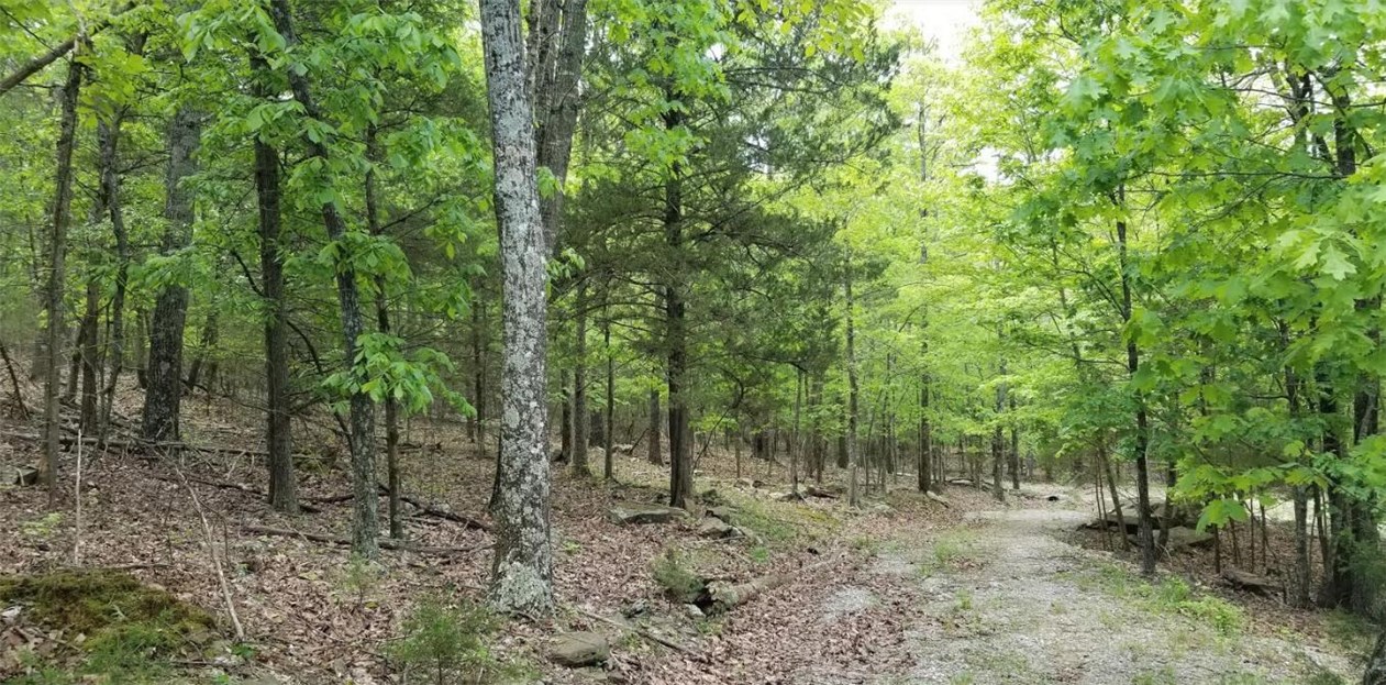 Photo 17 of 17 of 5731 Estate View Road land