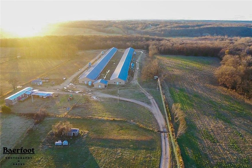 It can be hard to find a farm in a good location, with plenty of land, in good condition, nice home, and no updates. Do we have your attention? Here's your farm! Annual gross income from Tyson (26k hens every 10 months) is about $200k, with expenses about $60k and the rest for debt service and cash flow. Siloam Springs schools, Washington County address, beautiful views, open land, 2 pasture areas for livestock with designated water tanks for each, neighbors who are farmers themselves, and 7 year Tyson contract. Call us or your own agent and we will provide more information.