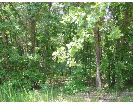 WOODED BUILDING LOT IN CUL-DE-SAC WITH ESTABLISHED STREET, NEWER HOMES, GREAT LOCATION JUST OFF OF HWY 71 AND 1 MILE FROM PARK.