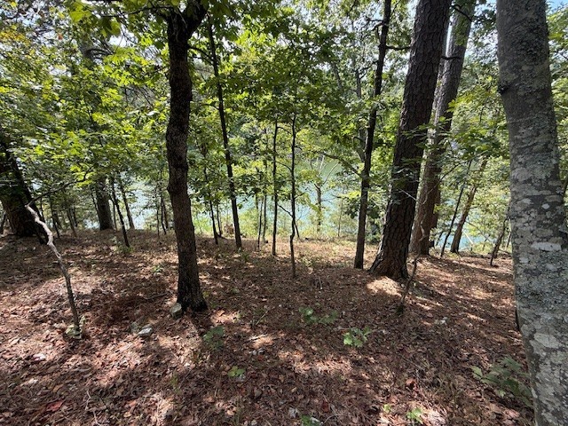 0.78 acre wooded lakefront lot that is ready for you to dream up your lakeside retreat! Perfect spot to build a fishing cabin or your forever home! Beautiful trees that you can keep and plenty of room to create ATV trails and enjoy your plot of land. The shoreline is a bluff, but you can create access areas and have a fantastic oasis of your own. Fishing, Kayaking, Paddleboarding, and swimming at your leisure! Adjourning 2.67 lot is also for sale.