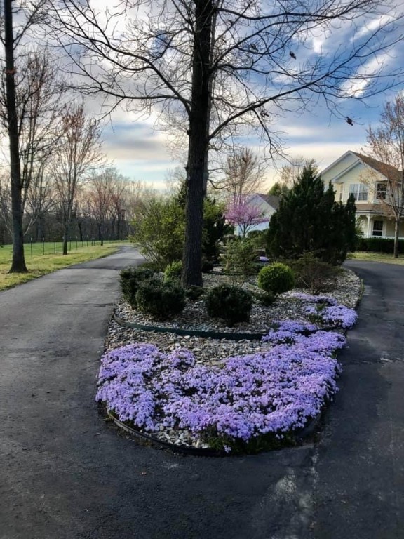 Rural - Residential