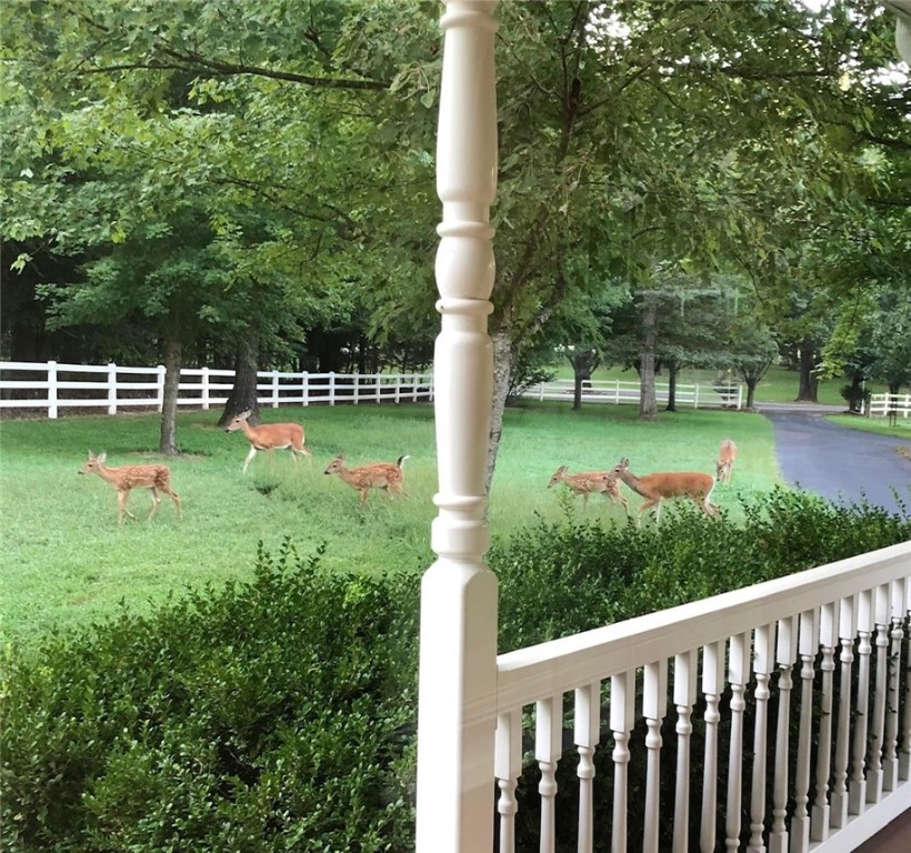 Rural - Residential