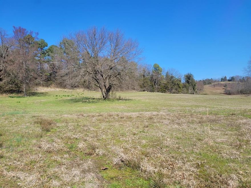 This 2-acre property provides water and electric at the road.  Nestled in a serene setting, it is conveniently located near the Ouachita National Forest, offering abundant outdoor recreational opportunities.