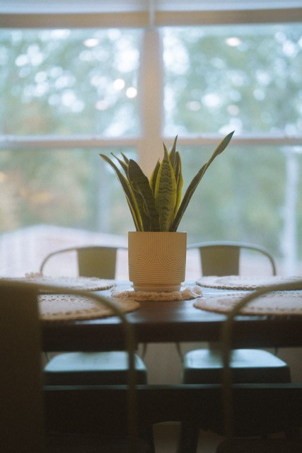 Northampton Sub Bvv - Residential Lease