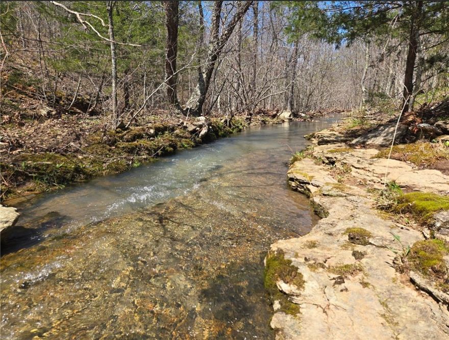 Discover the beauty and serenity of the Ozarks with this stunning 96-acre property nestled in Witter, Arkansas. Located approximately 35 to Fayetteville, 20 to Huntsville, and just under 45min to the breathtaking Buffalo National River. 

A mix of open pasture and mature woods, the land is fenced on top for livestock and features a year-round, spring-fed creek that adds to its charm and usability. Whether you’re looking for a homestead, hunting retreat, or recreational getaway, this acreage has it all.

Wildlife is abundant—white-tailed deer, turkey, and black bear. Making it a paradise for nature lovers and sportsmen alike.

An older mobile home sits on-site and has been completely gutted, offering a blank slate for a remodel or easy removal. The existing utilities (water, electric, and septic) are in place, making it easy to build your dream home with an unforgettable view.
What a wonderful opportunity to own a diverse and scenic piece of Northwest Arkansas land—don’t miss it!
This property is agent owned