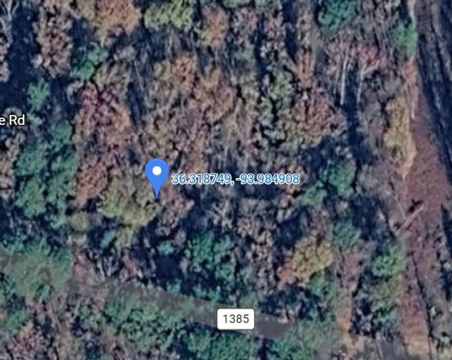 NO DEED RESTRICTION! MOBILE HOMES ALLOWED! Secluded and serene, yet just 15 minutes from Downtown Rogers. Minutes from Beaver Lake and Hobbs State Park with seasonal lake views—an uncommon opportunity in Benton County.