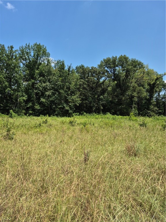 Escape to the countryside with this beautiful 3 acres. Nestled among matured trees, this property offers plenty of privacy. Several ideal spots to build your dream home. This property comes with several ideal spots for building your dream home. This property has a private pond for fishing in the afternoon or coffee in the morning. Don't miss the opportunity to make this beautiful piece of land your own. This property can be purchased alongside with additional acreage MLS# 1322763 (1acre) MLS# 1320163, MLS# 1322781 (1 acre)