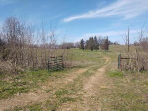 So many great building sites on this property, how will you ever choose? What a wonderful dilemma to have. Good hay pastures for livestock, as well as timber areas for the avid hunter. So many possibilities for this 142ac m/l. Contact the listing agent today for a showing.