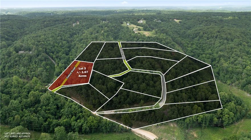 Perfect opportunity to build your dream home on this +/- 1.67-acre wooded residential lot, located just 5
miles from the Beaver Lake Boat Ramp and Lakeshore. Tucked away in a secluded, peaceful setting, this
property offers a quiet rural lifestyle with convenient access to town. Electric is already available on-site,
while a water well and septic system will be needed. With County Zoning, the current site plan is
preliminary and can be tailored to suit your needs in both size and shape, offering flexibility for your ideal build. Esculapia Hollow Rd is currently a dirt road, however, it is set to be paved this summer. Ideally situated approx. 3.5 miles from Lake Atlanta, 4 miles from Downtown Rogers, and 6 miles from Horseshoe Bend Marina, this lot provides the best of both worlds - tranquil living with easy access to outdoor recreation, shopping, dining, and more. Don't miss out on this prime piece of Northwest Arkansas real estate!