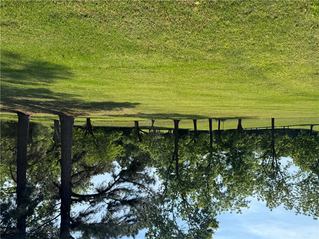 Savannah - Land
