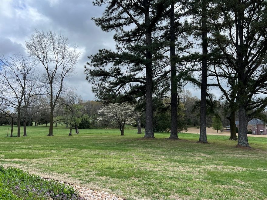 When you build a new house you want to maintain the market  value in a neighborhood  that protects your  investment and that is this neighborhood.  It is just a couple of minutes from  town, and has a  beautiful country feel