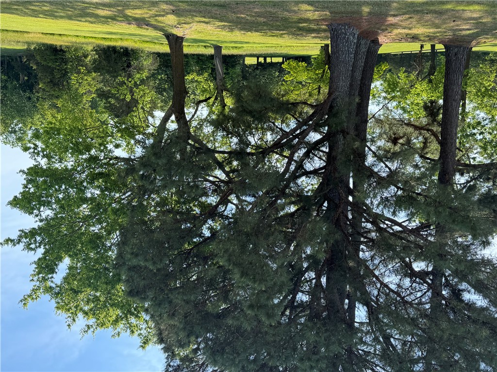 Savannah - Land