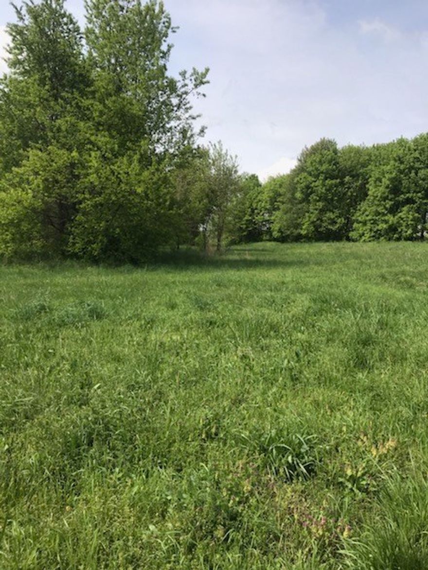 8 acres of land with 370ft frontage on Wagon Wheel Rd. Prime commercial development opportunity only a few hundred yards from I49 interchange. Property also borders Wildwood Lane to the east making it prime for a split.  Wagon Wheel Road has recently been widened to 5 lanes and  is fast becoming a major connector between  I-49 and Hwy 71 B in North Springdale.