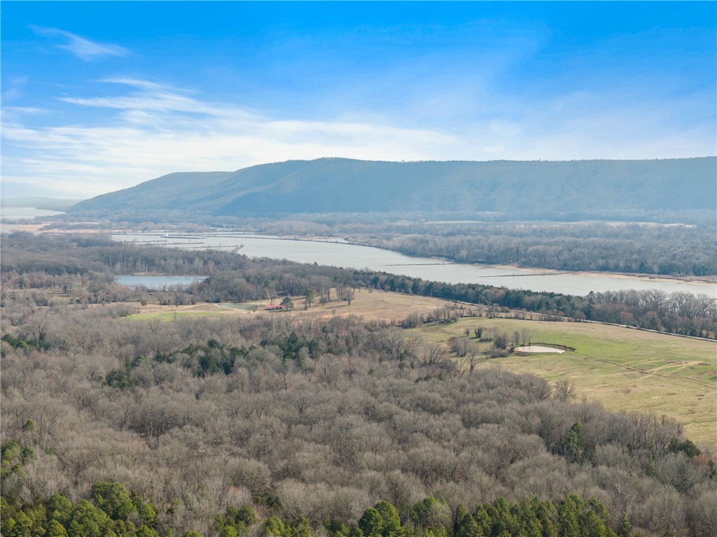 80 Acres of Prime Recreational Land Bordering Galla Creek WMA!! Discover your very own piece of outdoor paradise with this exceptional 80+/-acre recreational property, perfectly positioned for those who love the great outdoors. Bordering Galla Creek Wildlife Management Area on both the north and west sides, this land offers direct access to public hunting and outdoor activities. Whether you enjoy hunting or simply escaping to nature, this property is an incredible opportunity to own a secluded retreat. The land features a mix of mature trees, cedar thickets and established food plots, creating an ideal environment for deer, turkey, waterfowl and other wildlife. This property is secluded yet easily accessible. While this property is landlocked, a legal easement provides easy access.