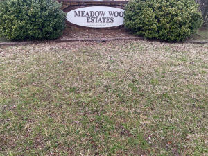 Premier subdivision conveniently located between Harrison and Branson. Paved and curbed streets with underground utilities.