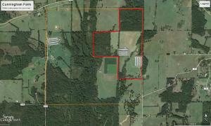 This is a cash flow cow of a Poultry Farm. The Poultry Houses are 43 x 500 with 4 built in 2005 and 4 built in 2007. Excellent shape with all modern updates. Contract is with Tyson for 4 lb birds/7 flocks per year. The residential house is super nice with 5 bedrooms and 3 full baths, metal roof and less than 10 years old. Most of the ceilings are solid cedar. See cash flow under documents.
