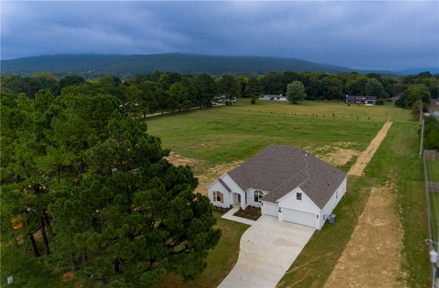 GET A $15,000 CREDIT on this Brand new home sitting on an amazing 1.62 acre lot!   Home features a 3 car garage, beautiful hardwood floors, spacious covered back porch, large kitchen island overlooking the living room, gas range, premium quartz counter tops, custom built cabinets to the ceiling, huge picture windows to soak up the views, mature trees, tiled walk in shower and jacuzzi tub in the primary bathroom, gas fireplace and so much more!  Property has that peaceful country feel, but is only minutes to shopping, dining, parks, trails, schools, i-49, Fayetteville, and all the other great amenities of Northwest Arkansas! 1 year builders warranty! Gutters and Blinds included.