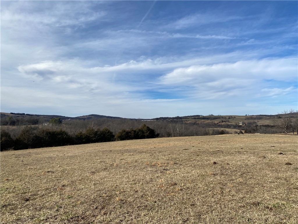 Beautiful rural 26 acres with breathtaking views and only minutes from Huntsville. Build your dream home overlooking your farm with a barn and pond. Plenty of flat areas for possible home sites with possibilities of an easy split if you decide to sell part of your investment. Property has easy access for utilities including rural water and is totally fenced.