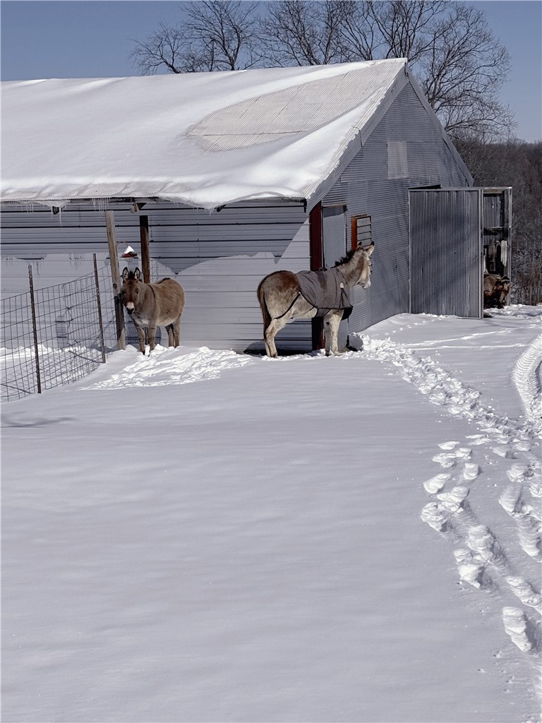 08-20-29-RURAL - Residential