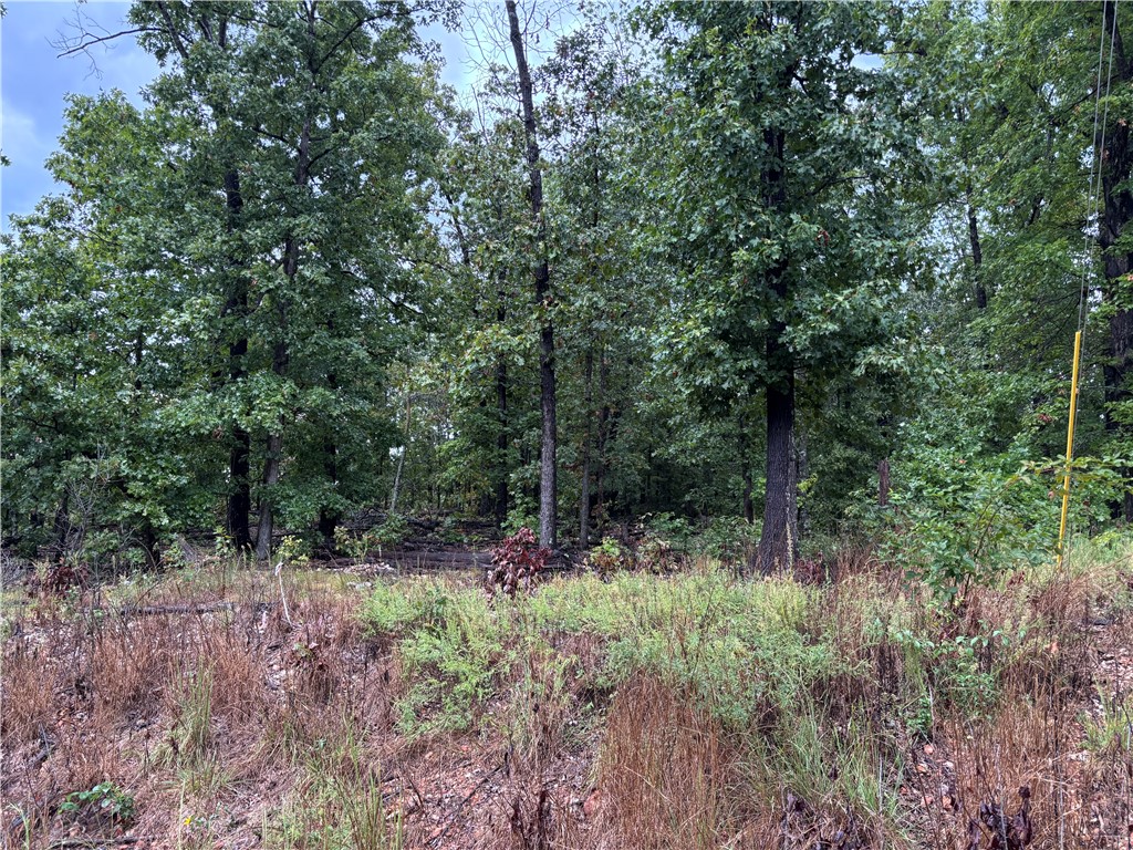A rare find in Bella Vista! Three adjacent level lots waiting for you to build your dream home. More than an acre of land!