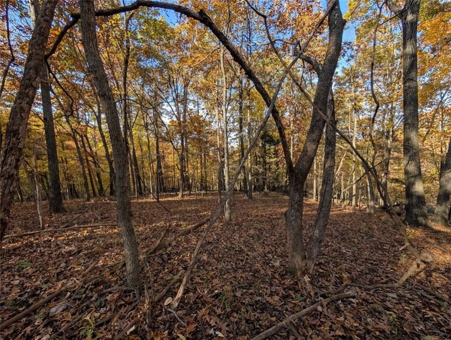 Beautiful building site sitting on 6.23 wooded acres bordering the south end of Hobbs State Park. This property offers privacy, natural beauty, and convenience. Just 25 minutes from downtown Rogers, the land features stunning mature hardwood timber and a gently sloping topography with multiple flat, easily accessible building sites near the road. Water and power are already available at the street, making this an excellent opportunity for your dream home, cabin, or recreational escape. With direct proximity to thousands of acres of managed land, this is a perfect blend of seclusion and accessibility in one of Northwest Arkansas’s most desirable areas.