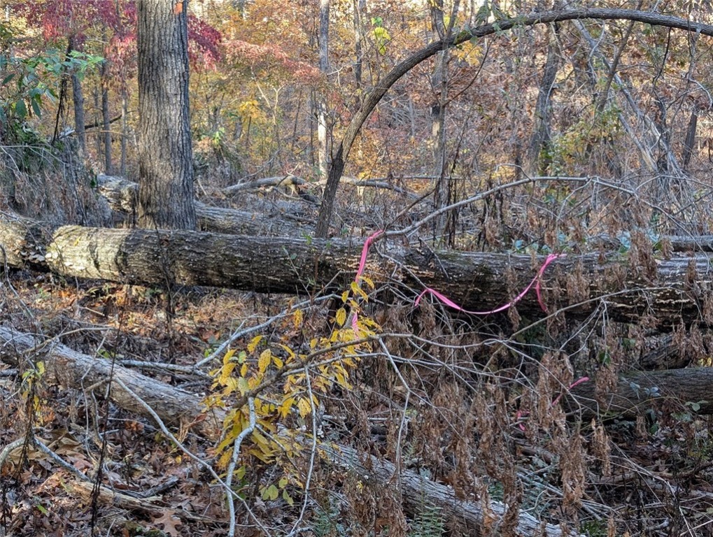 31-19-27-RURAL - Land